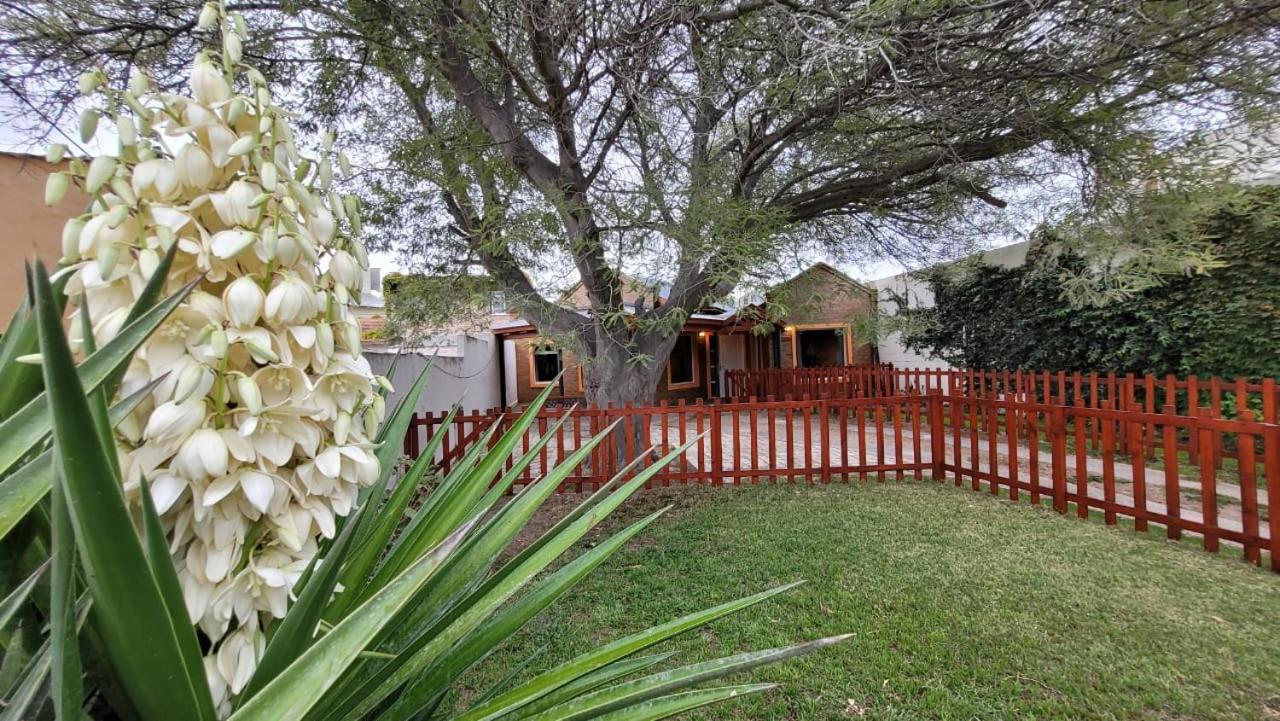 Homestay El Patio Del Aromo *